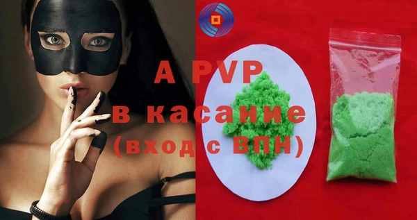 сатива Балахна
