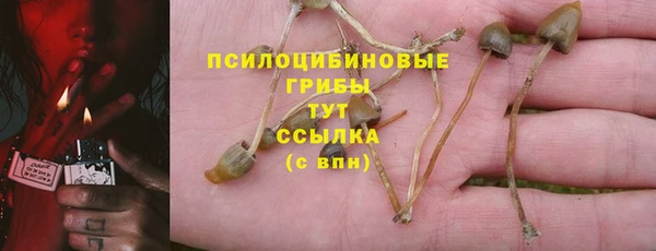 mdpv Баксан