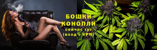 сатива Балахна