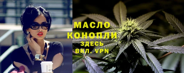 сатива Балахна