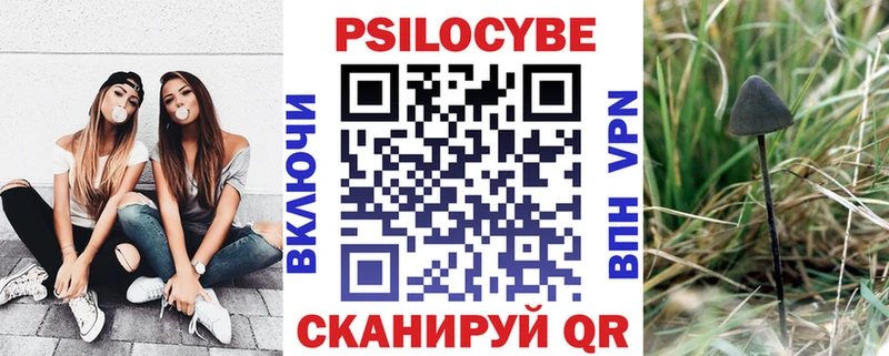 Галлюциногенные грибы Psilocybine cubensis  Торжок 